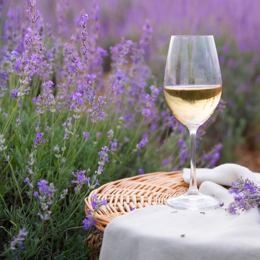 Le Mas Aux Aromes Puget Екстер'єр фото